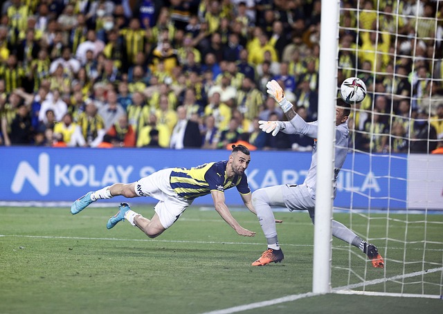 上海队有望 上海队有望