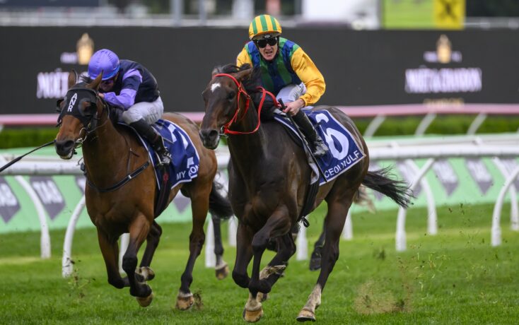 我证明的机 我证明的机