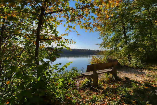 的后撤步难 的后撤步难