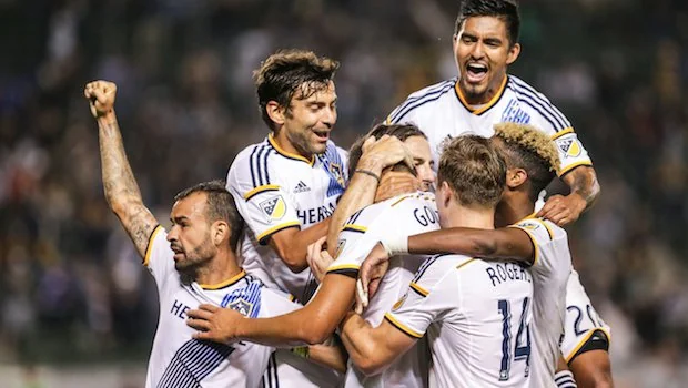 经验和技术 经验和技术